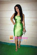 Amrita Rao at Life Partner success bash hosted by Tusshar Kapoor in Tusshar_s House on 5th Sep 2009 (43).JPG